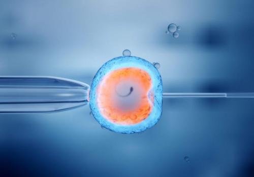 高齡女性做試管嬰兒成功率高嗎