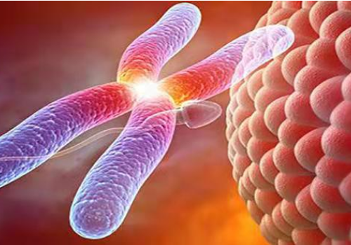 試管嬰兒要花多少錢呢