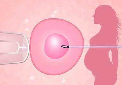 為什么試管嬰兒費用差距大