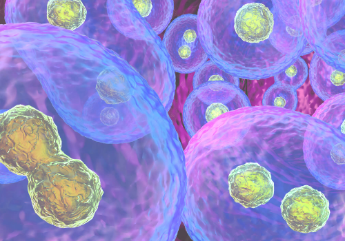 試管嬰兒的費用有哪些