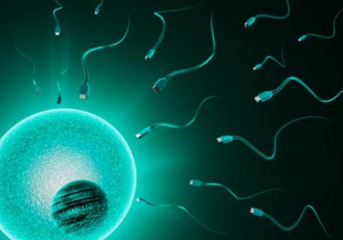 影響泰國試管嬰兒成功率的因素