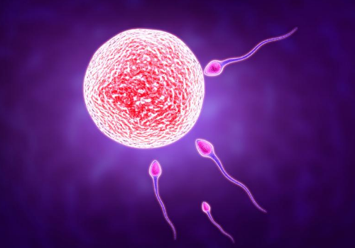 如何提高泰國試管嬰兒成功率