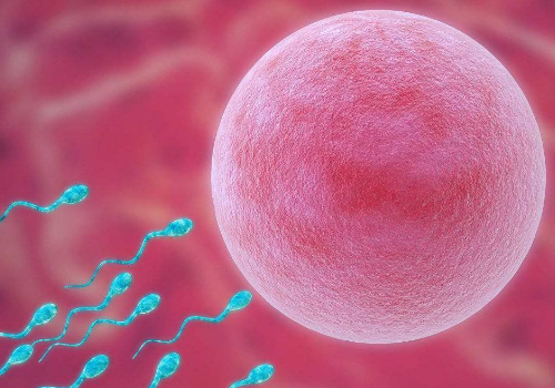 仁濟(jì)試管費(fèi)用表是多少