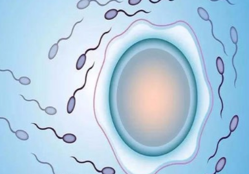 做試管的錢花哪兒了