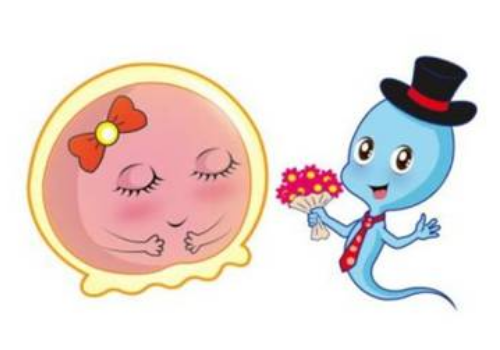 三代的試管嬰兒大概多少錢