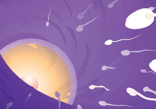 三代試管嬰兒的費(fèi)用是多少