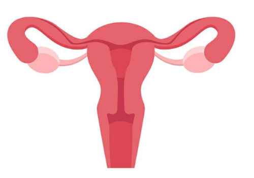 泰國(guó)試管嬰兒費(fèi)用高嗎有多少錢呢？