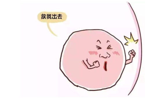 美國(guó)怎么選擇？