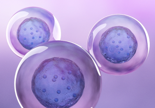 做一次俄羅斯試管嬰兒多少錢？?